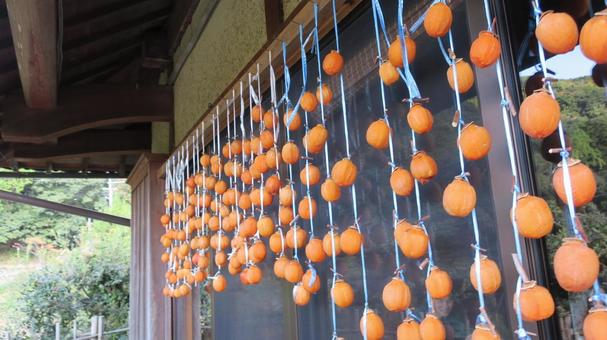 干柿 干柿,渋柿,シブガキの写真素材