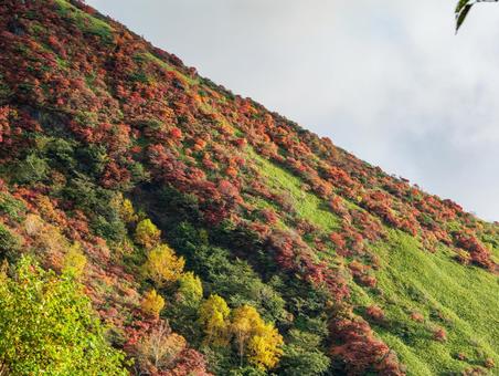 紅葉の那須岳 紅葉の那須岳の写真