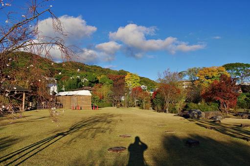 11月の庭園風景 11月の庭園風景 紅葉,ジュウガツザクラ,十月桜の写真素材