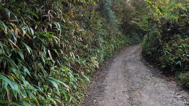 林道③ 林道,土の道,走行注意の写真素材