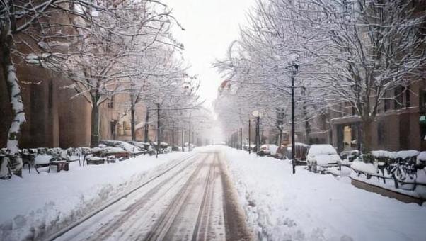 大雪 大雪の写真
