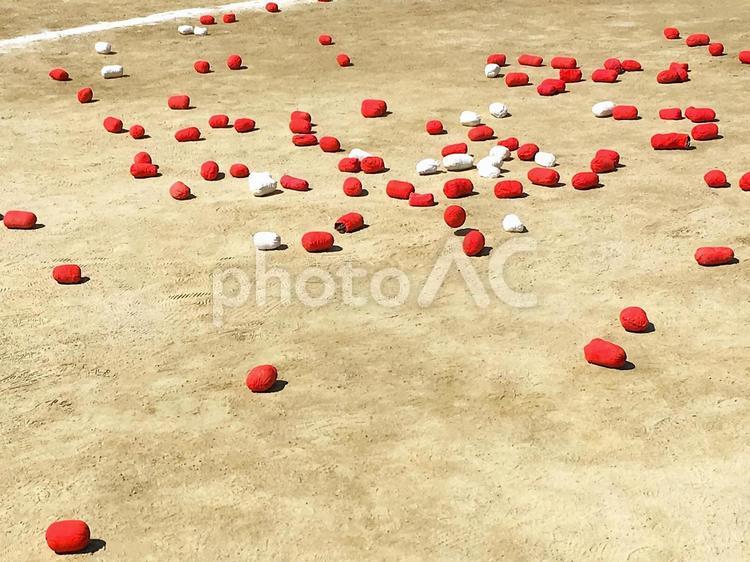 運動会　玉入れの玉 運動会,体育大会,体育祭の写真素材