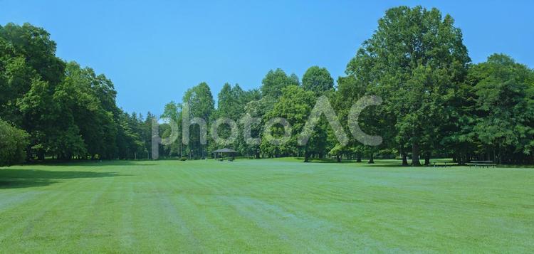 緑の公園　バナー素材 公園,青空,木の写真素材