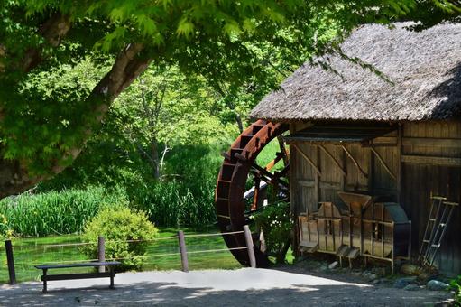 信州安曇野 蓼川と水車小屋の風景 信州安曇野 蓼川と水車小屋の風景 大王わさび農場,安曇野,蓼川の写真素材