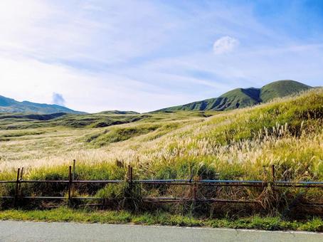 秋のススキの原 パノラマライン,すすき,秋景色の写真素材
