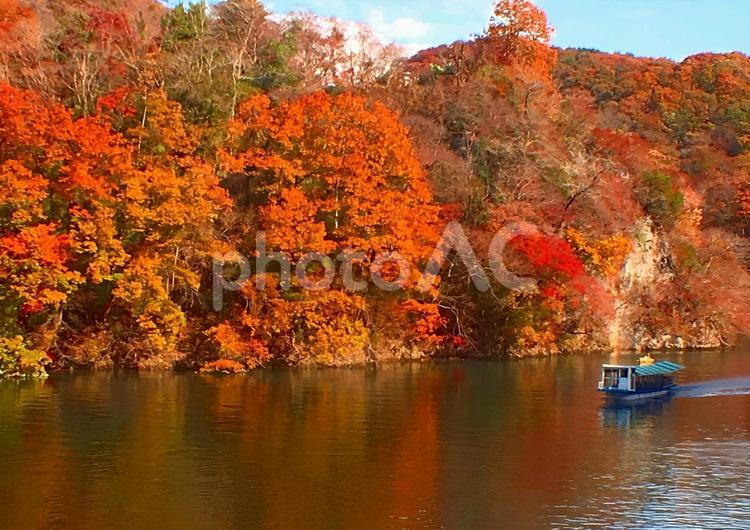 【紅葉写真】帝釈峡の美しい紅葉 紅葉,帝釈峡,神龍湖の写真素材