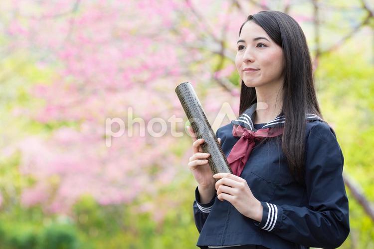 卒業証書を持った　桜の前の女子学生 人物,女性,卒業の写真素材
