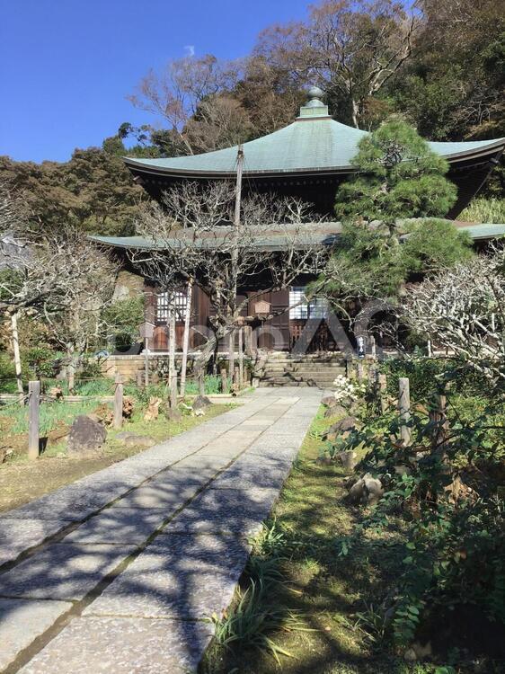鎌倉・瑞泉寺の建築物 鎌倉,瑞泉寺,寺院の写真素材