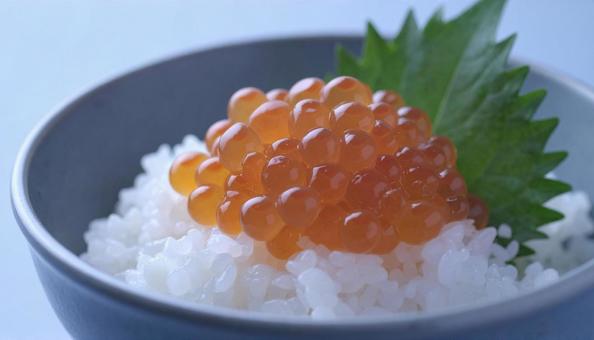ご飯にイクラをたっぷりのせて食べる ご飯にイクラをたっぷりのせて食べるの写真