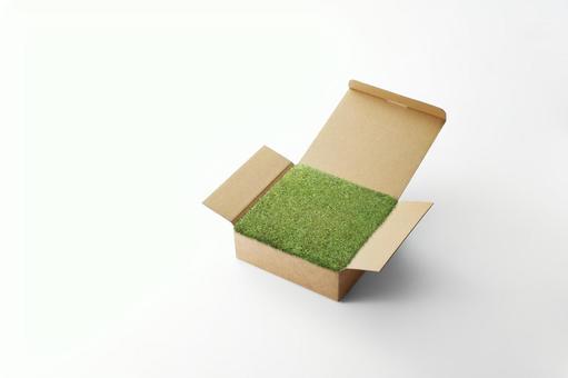 箱庭的世界 箱,芝,開いたの写真素材