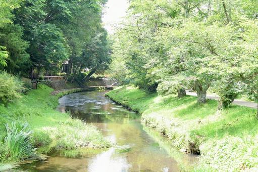 川 川の写真