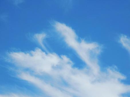 【空の写真】夏空 【空の写真】夏空の写真