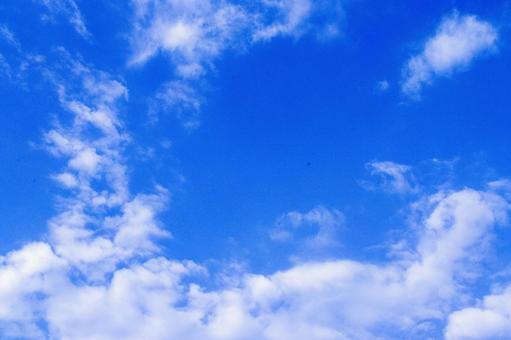 青々強いの写真