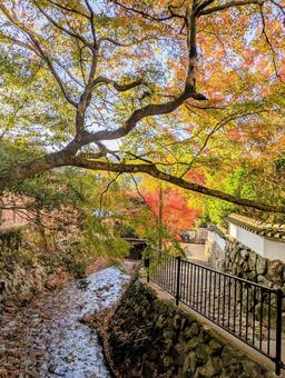 京都大原の風景 京都大原の風景の写真