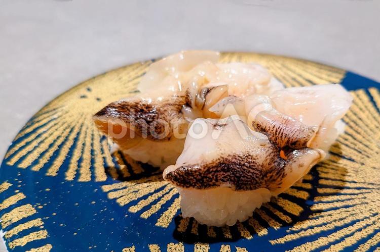 美味しいお寿司（活ツブ） ツブ,活ツブ,貝の写真素材
