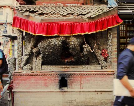 コインの木　カトマンズ　ネパール コインの木,カトマンズ,釘つけの写真素材