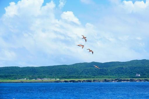 沖縄・海上から見る与那国島 沖縄・海上から見る与那国島の写真