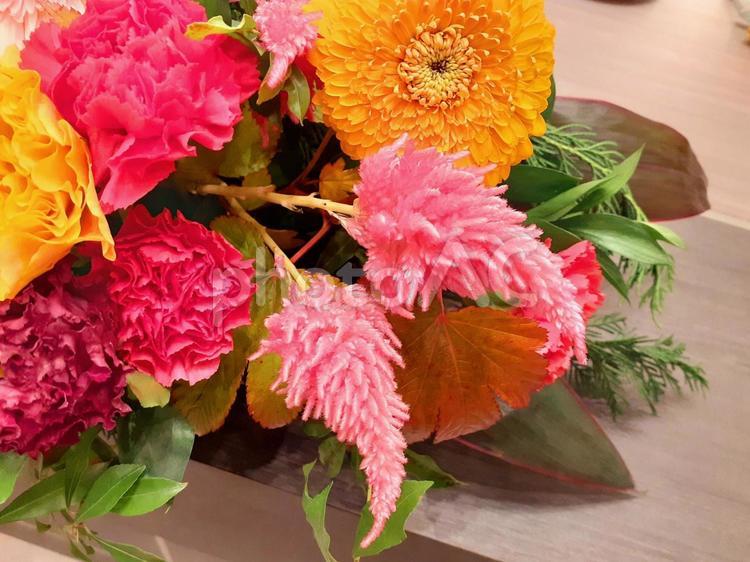 フラワーアレンジメント　ケイトウ　他 花,ケイトウ,ガーベラの写真素材