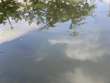 Photo, water surface, reflection, landscape, 