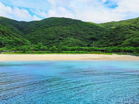 奄美 タエン浜 奄美 タエン浜 奄美,奄美大島,タエン浜の写真素材