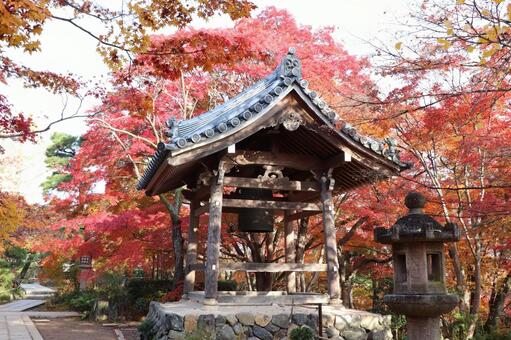 常寂光寺　鐘楼 常寂光寺,鐘楼,紅葉の写真素材