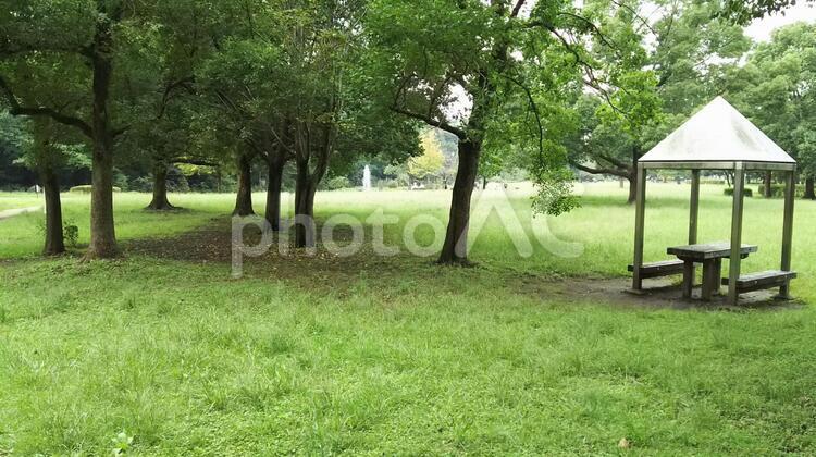閑散とした公園 公園,芝生,東屋の写真素材