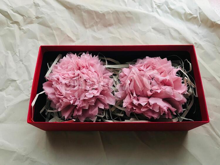 母の日　カーネーション ペーパー,カーネーション,花の写真素材