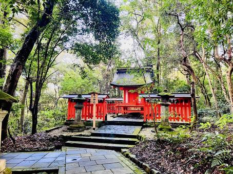 宇佐神宮 宇佐神宮,亀山神社,神社の写真素材