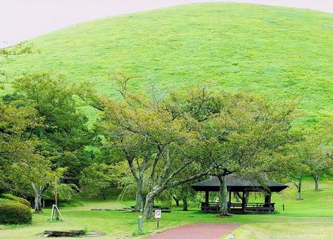 初秋の緑の大室山 初秋の緑の大室山の写真