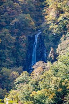 蔵王の紅葉⑷ 蔵王,紅葉,黄葉の写真素材