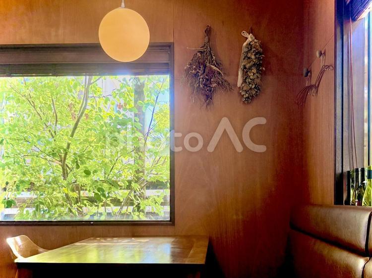 柔らかな光が入るおしゃれなダイニング 窓,窓際,新緑の写真素材