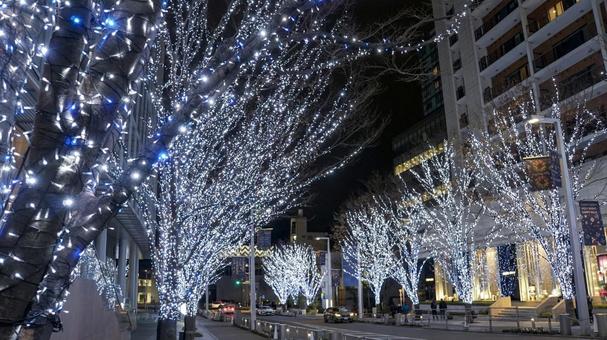 六本木けやき坂のイルミネーション 六本木けやき坂のイルミネーション 六本木,けやき坂,イルミネーションの写真素材