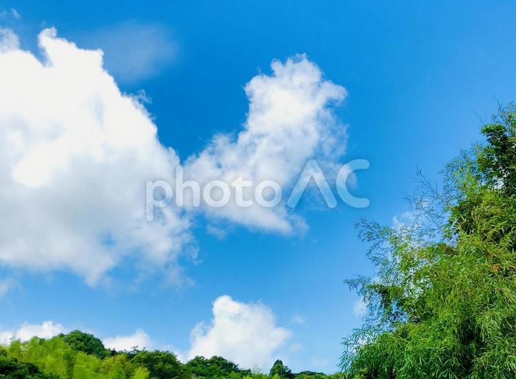 鮮やかな緑の上に浮かぶ雲 雲,緑,空背景の写真素材