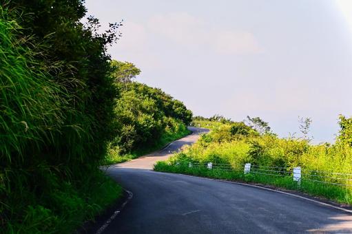 緩やかな坂が続く夏の山道 道,道路,山道の写真素材