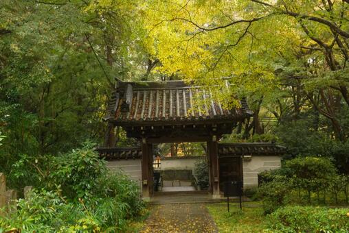 来迎院の紅葉 11月,秋,紅葉の写真素材