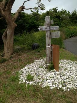 猫の島 石巻市,猫の島,案内の写真素材