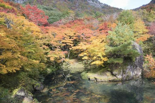 紅葉山公園 紅葉,そら,山の写真素材