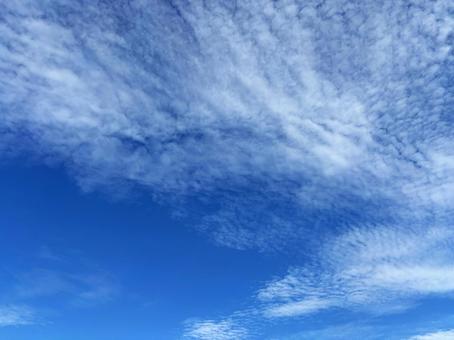 夏空 夏空の写真