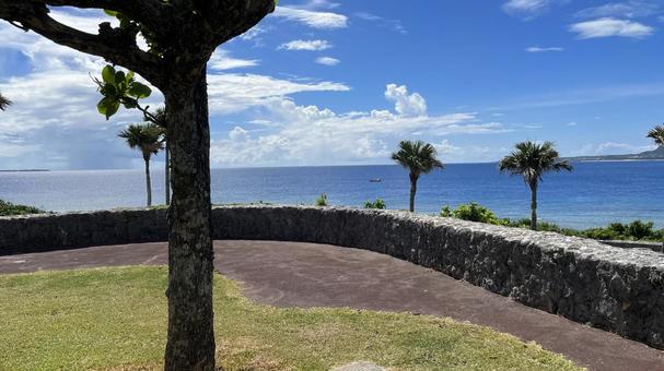 沖縄 沖縄,海,ヤシの木の写真素材