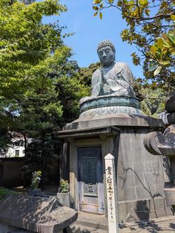 天王寺 銅造釈迦如来坐像 天王寺 銅造釈迦如来坐像 谷根千,仏像,日暮里の写真素材