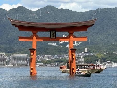 厳島神社 厳島神社,宮島,広島の写真素材