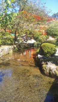 京都 上賀茂神社 境内 秋 風景 待受 京都,上賀茂神社,境内の写真素材