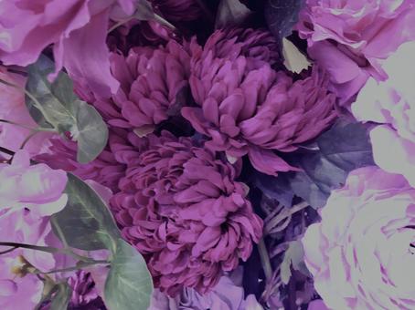 花,テクスチャ, 花,テクスチャ,の写真