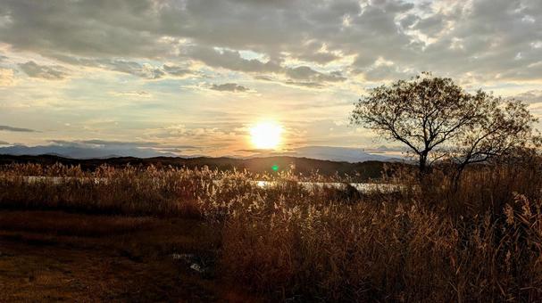 石川県の潟湖木場潟の夜明け 潟湖,湖,木場潟の写真素材