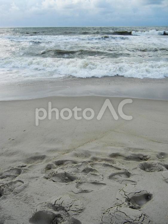 北欧の海岸 北欧,海岸,海の写真素材