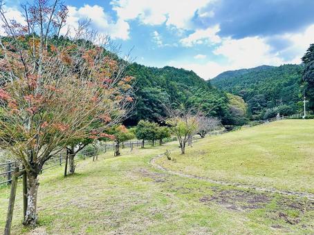 呉ダム湖　秋の公園 秋,呉ダム渓流公園,公園の写真素材