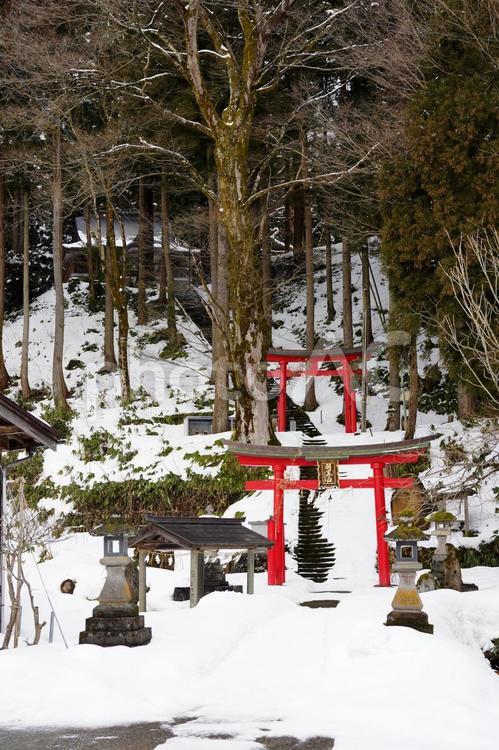 羽黒神社 新潟県長岡市小貫,羽黒神社,冬の写真素材