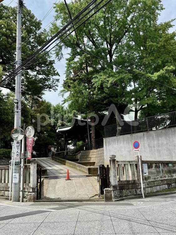 雑司ヶ谷鬼子母神堂　外周 欅,ケヤキ,金剛不動尊の写真素材