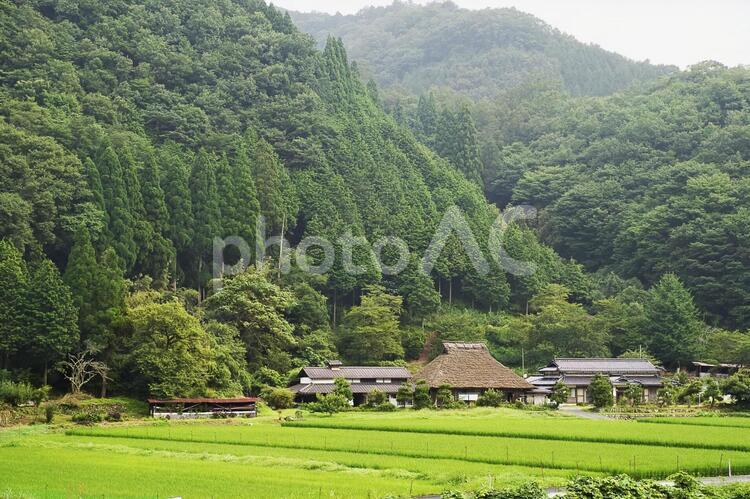 かやぶき屋根の家 茅葺,田舎,農村の写真素材