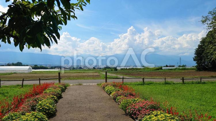 8月の長野県 田舎,山並み,自然の写真素材